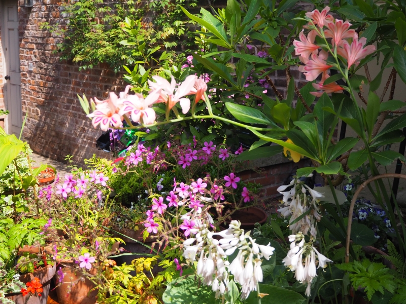 Elizabeth Gaskell's Garden